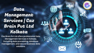 Data Management Services Kolkata dashboard from Caz Brain Pvt Ltd showing database management data processing quality governance and security features